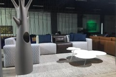 69316427_2410303212348643_4574744661117108224_n